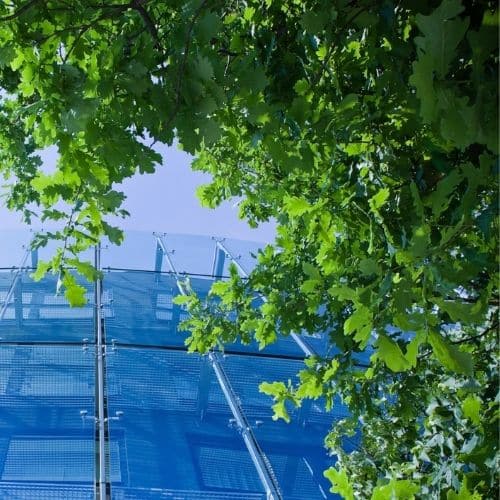 Green Cleaning Services