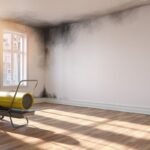 Image of mold growth on wall and ceiling and a dehumidifier machine