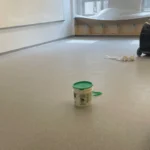 Before Picture - Vinyl floor strip and wax in NYC charter school class room