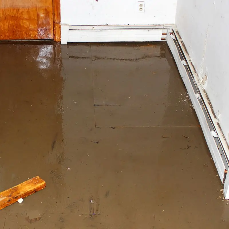 Before picture of water damage to vinyl floor, door, and door frame