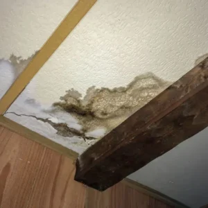 Mold growth in ceiling caused by not reacting immediately when water damage is first detected
