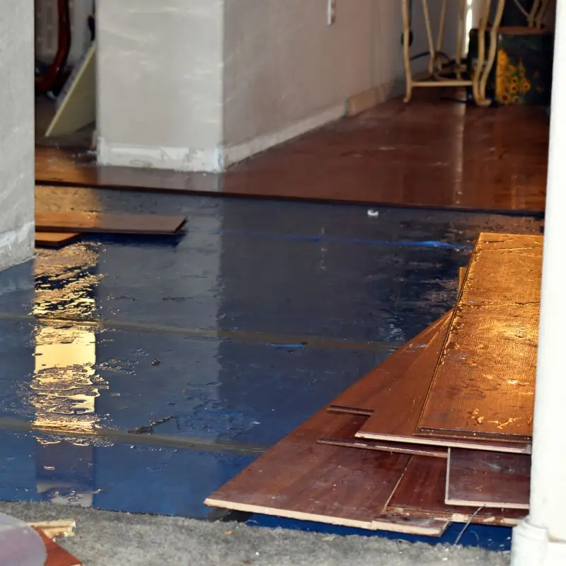 Removal of wood floor, base boards, and furniture before removal of water, cleaning, and setting up humidifiers